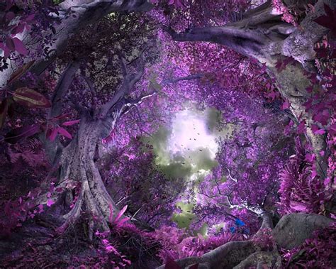 Mystical Forest brabet